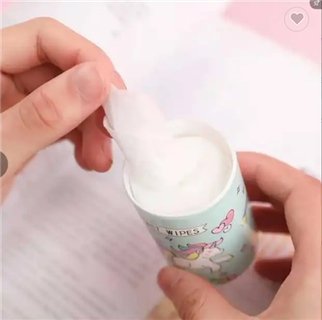 Mini Travel Wet Wipe Canister
